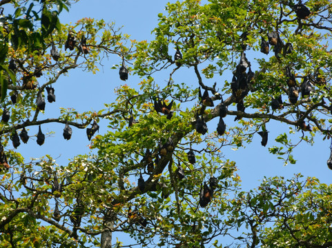 Dayan Tours-卡图纳耶克必去景点