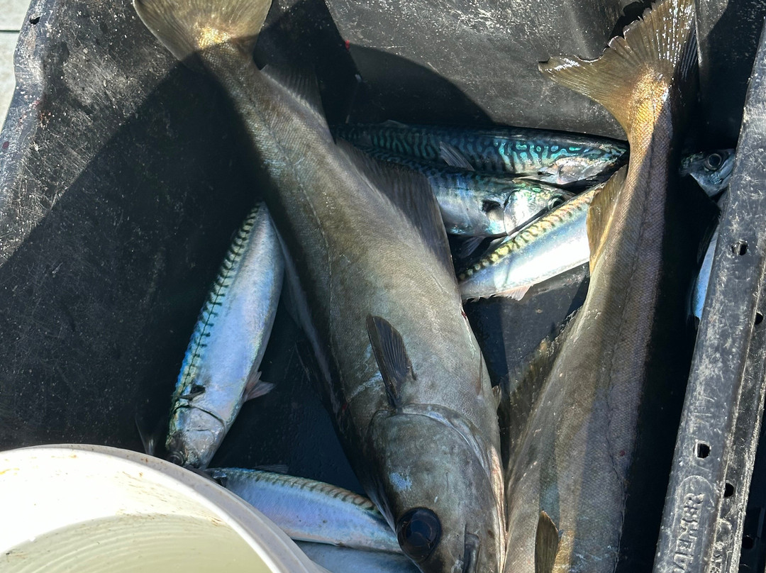 Fishing Adventures-Kilbaha必去景点