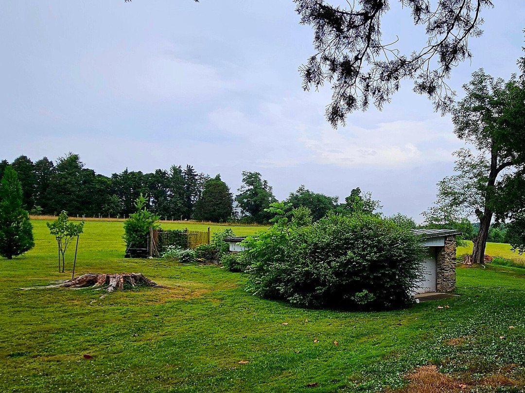 Historic Woodview-Bel Air必去景点