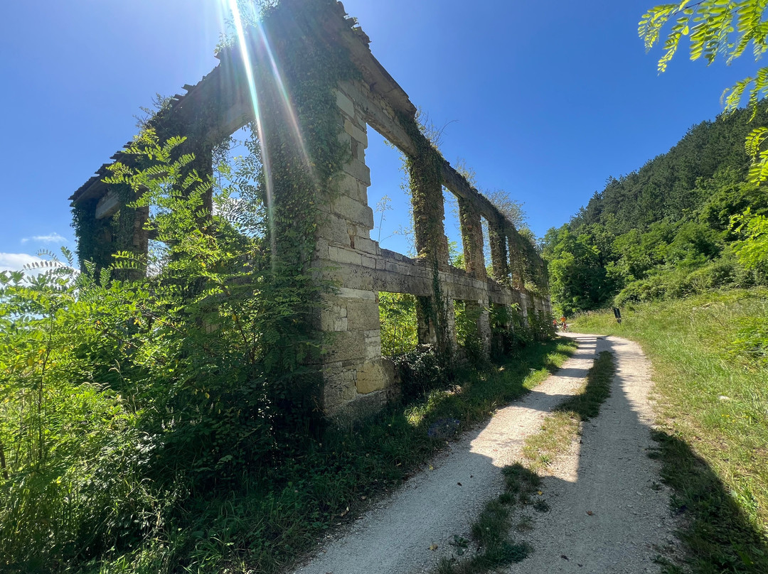 Fiore Tours-波雷奇必去景点
