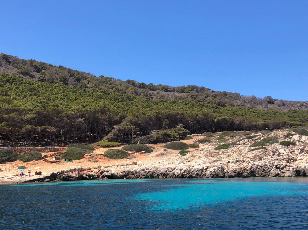 Levanzo in Barca-Levanzo必去景点