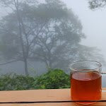 Singell Homestay主图