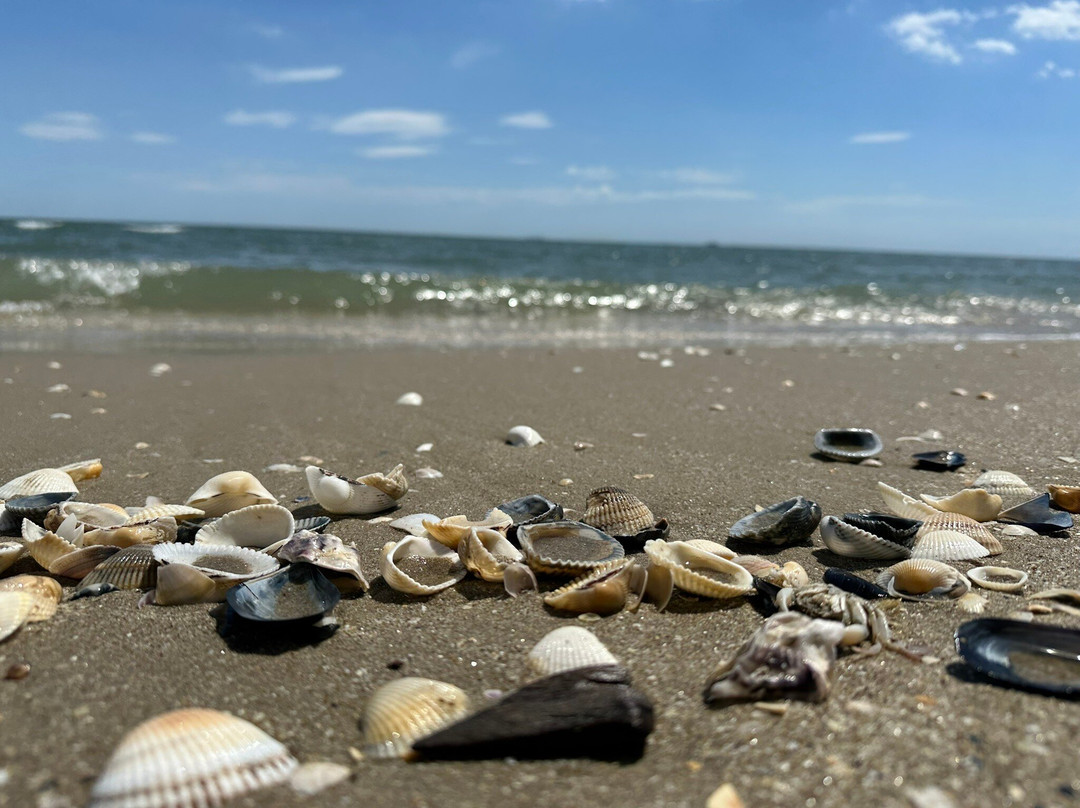 Marina di Ravenna Beach Town-Marina di Ravenna必去景点