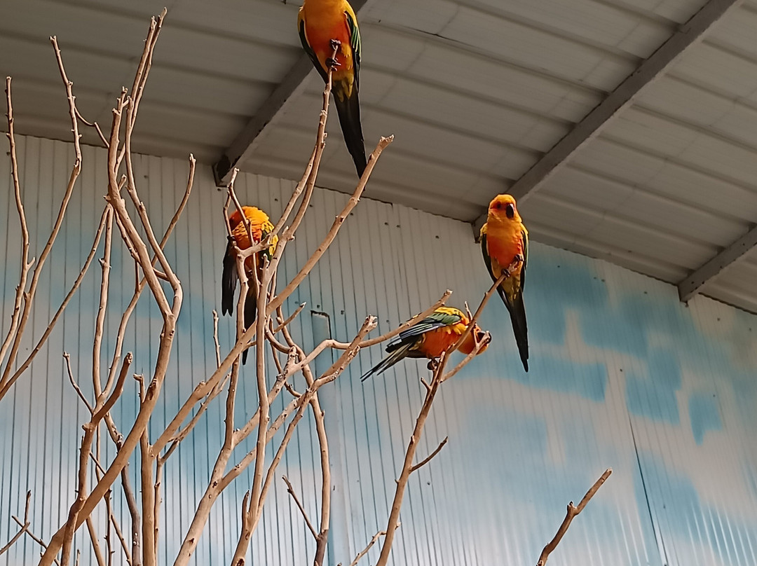 Peeku Park Yercaud-亚尔考德必去景点