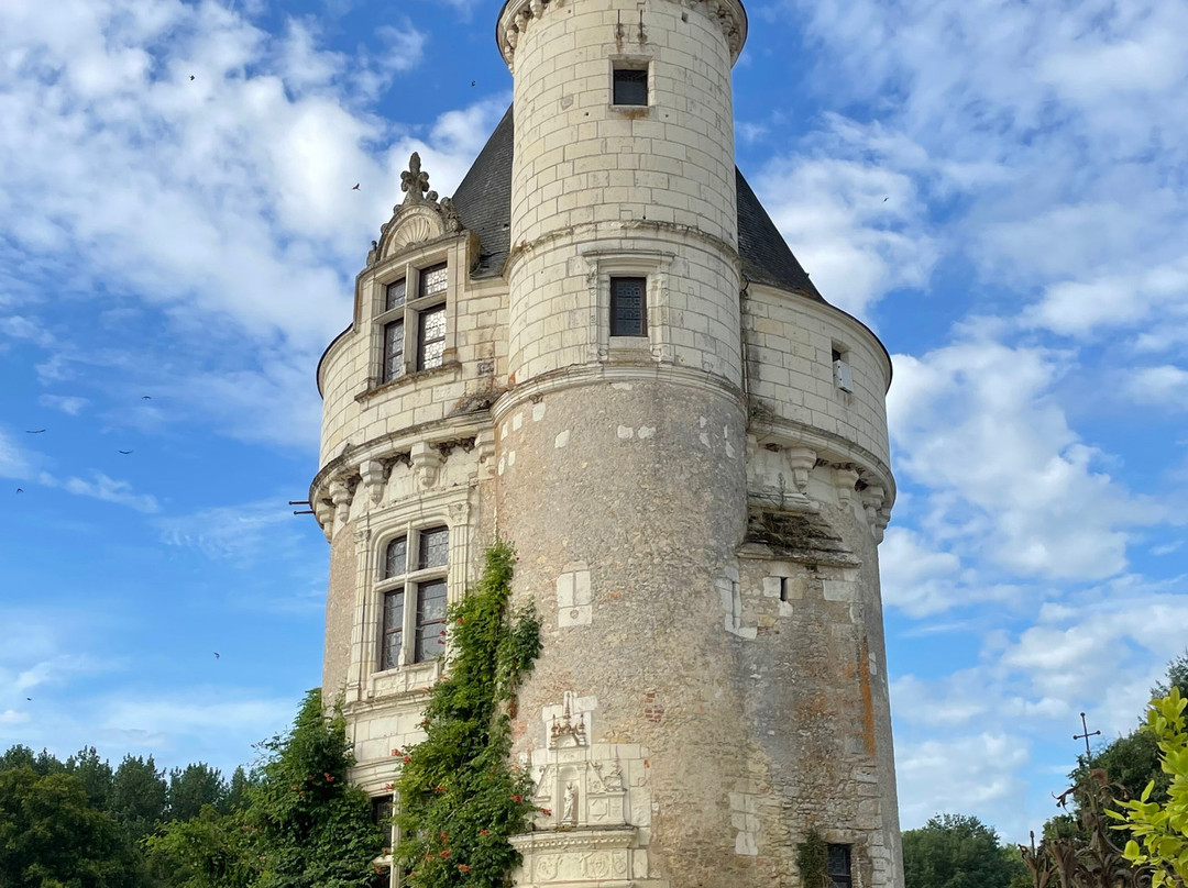 Loire Perspectives-布洛瓦必去景点