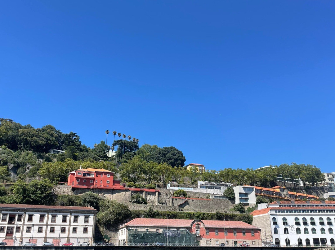 Porto Sailing Spot-波尔图必去景点