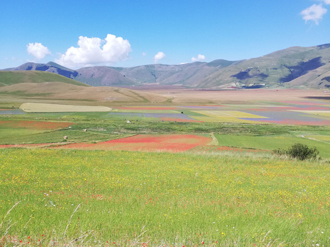 Castelluccio-翁布里亚必去景点