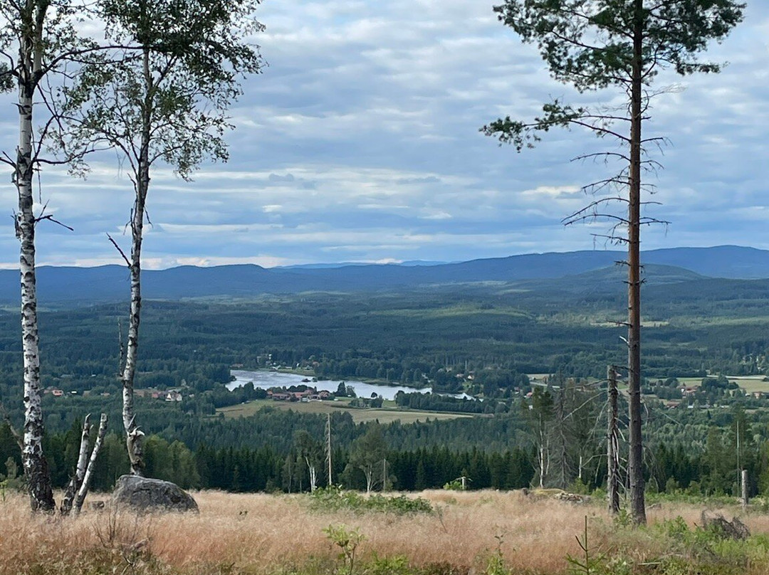 Utsiktstornet Mejdåsen-Bjorbo必去景点