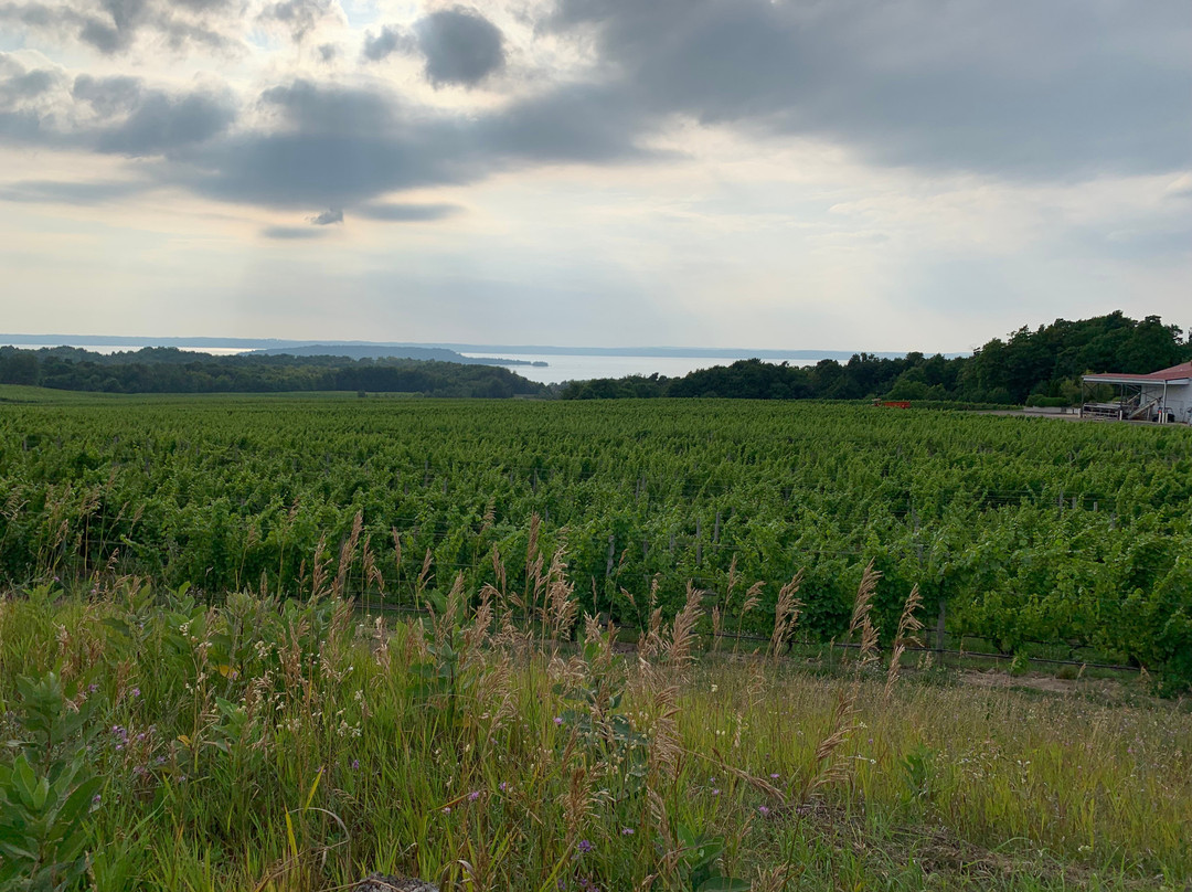 The Inn at Chateau Grand Traverse主图
