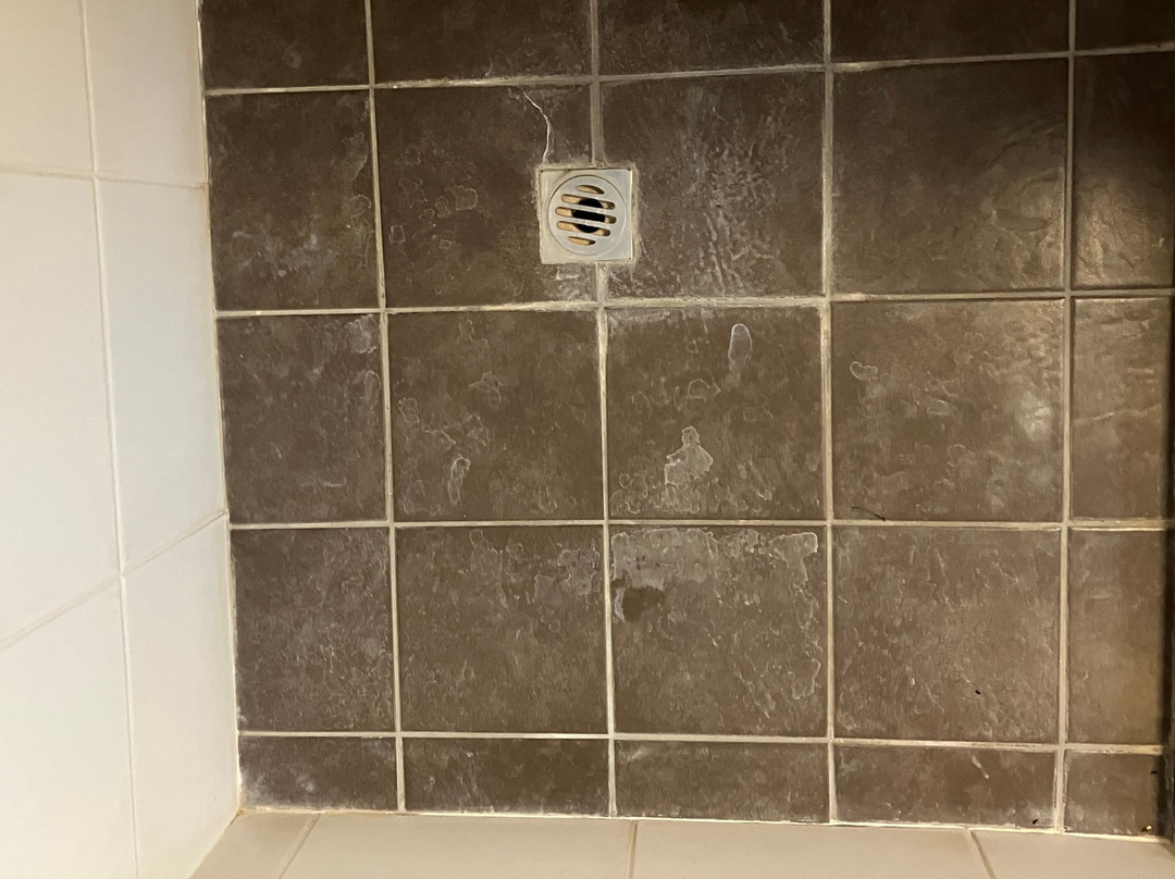 Bluestone Motor Inn主图