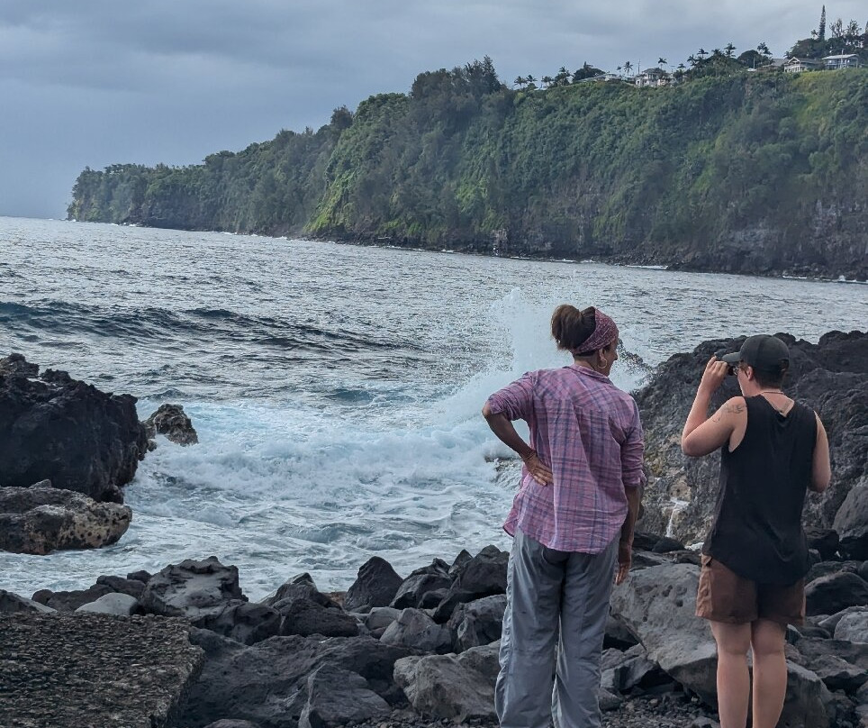 Laupahoehoe Beach Park-劳帕霍也霍也必去景点