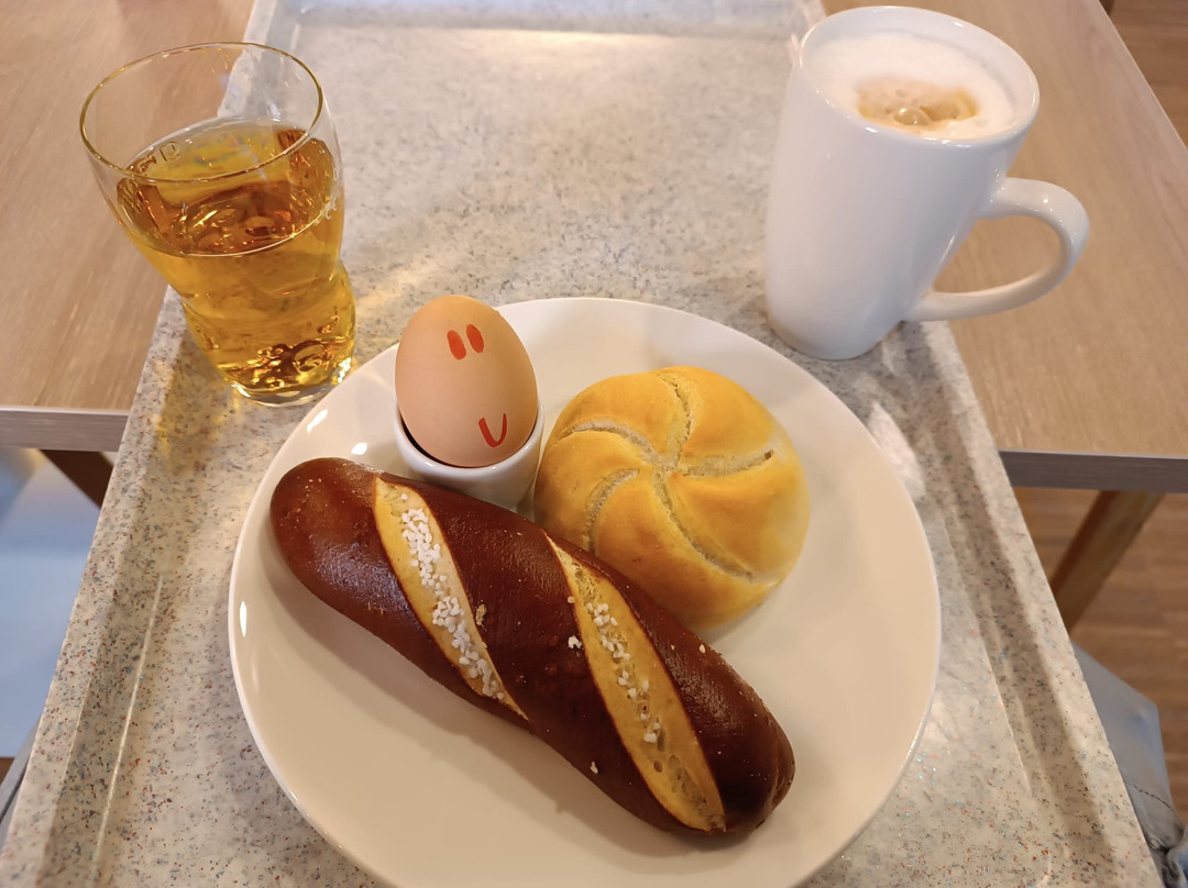 萨尔布吕肯智选假日酒店主图