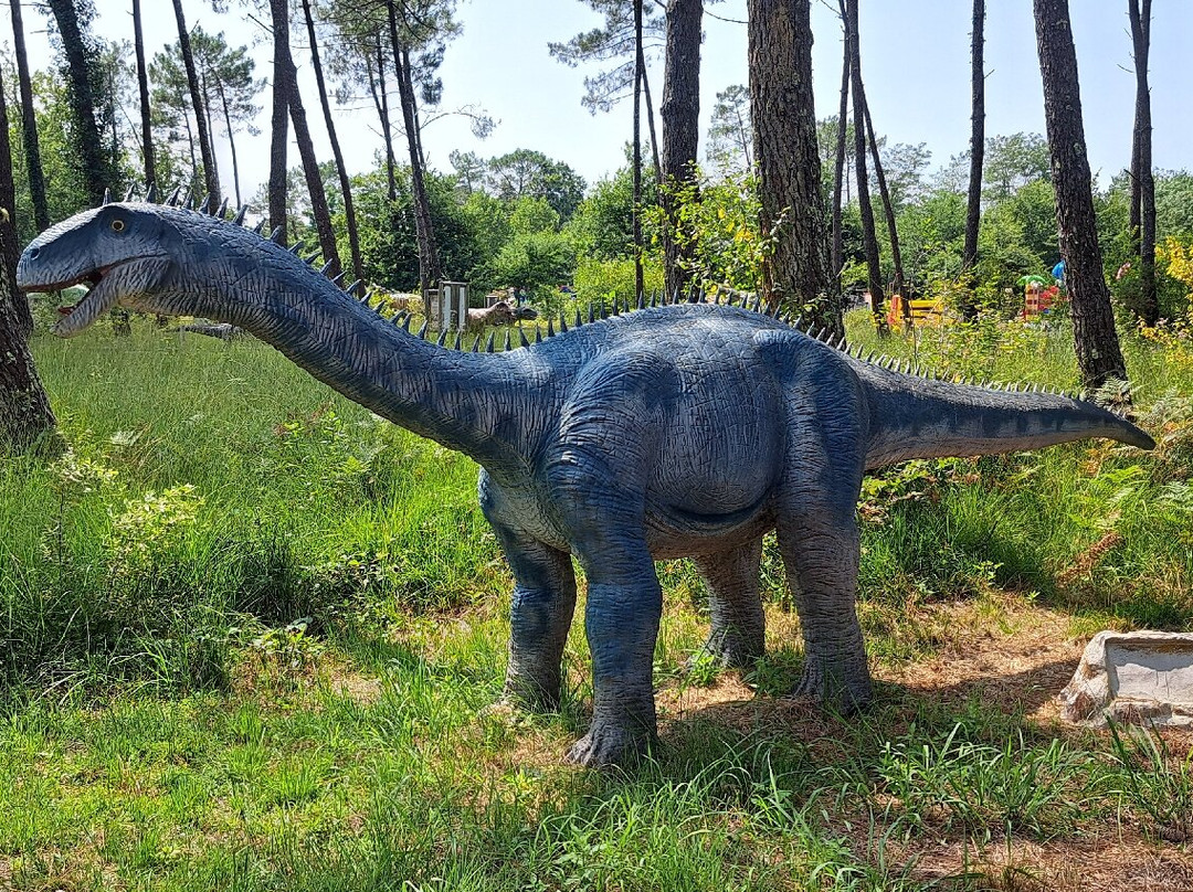 Dinosaures Parc景点图片