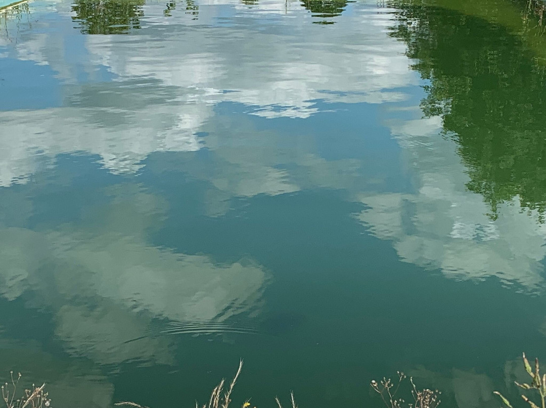 Campingpark Reinsfeld