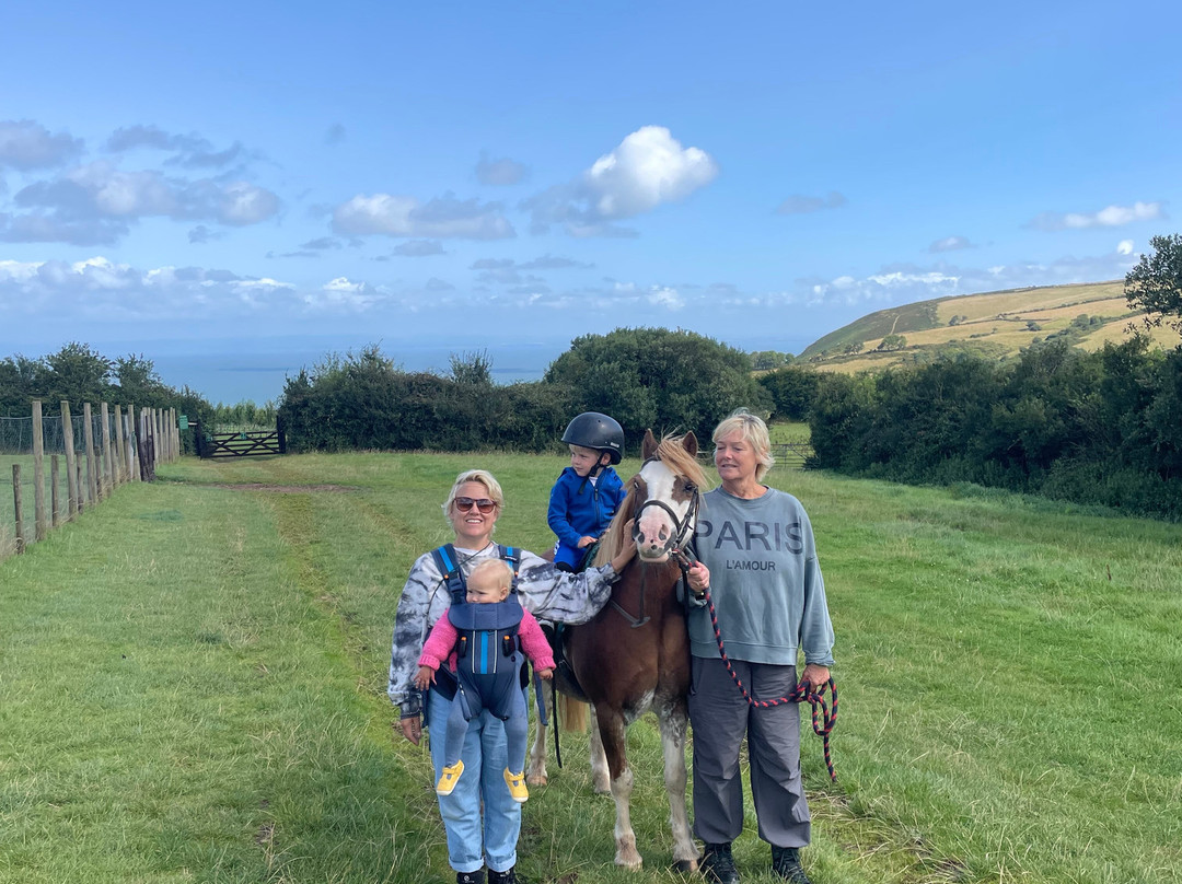 Exmoor Horse Riding and Trekking Centre景点图片