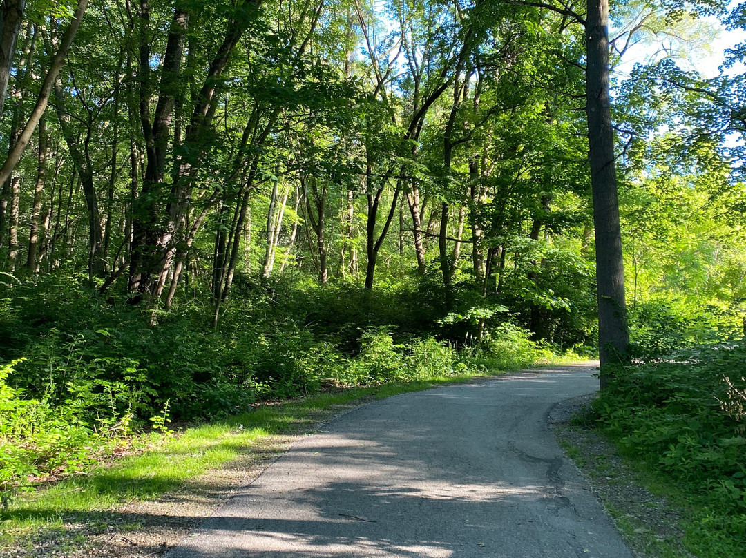 Wildwood Metropark-托莱多必去景点