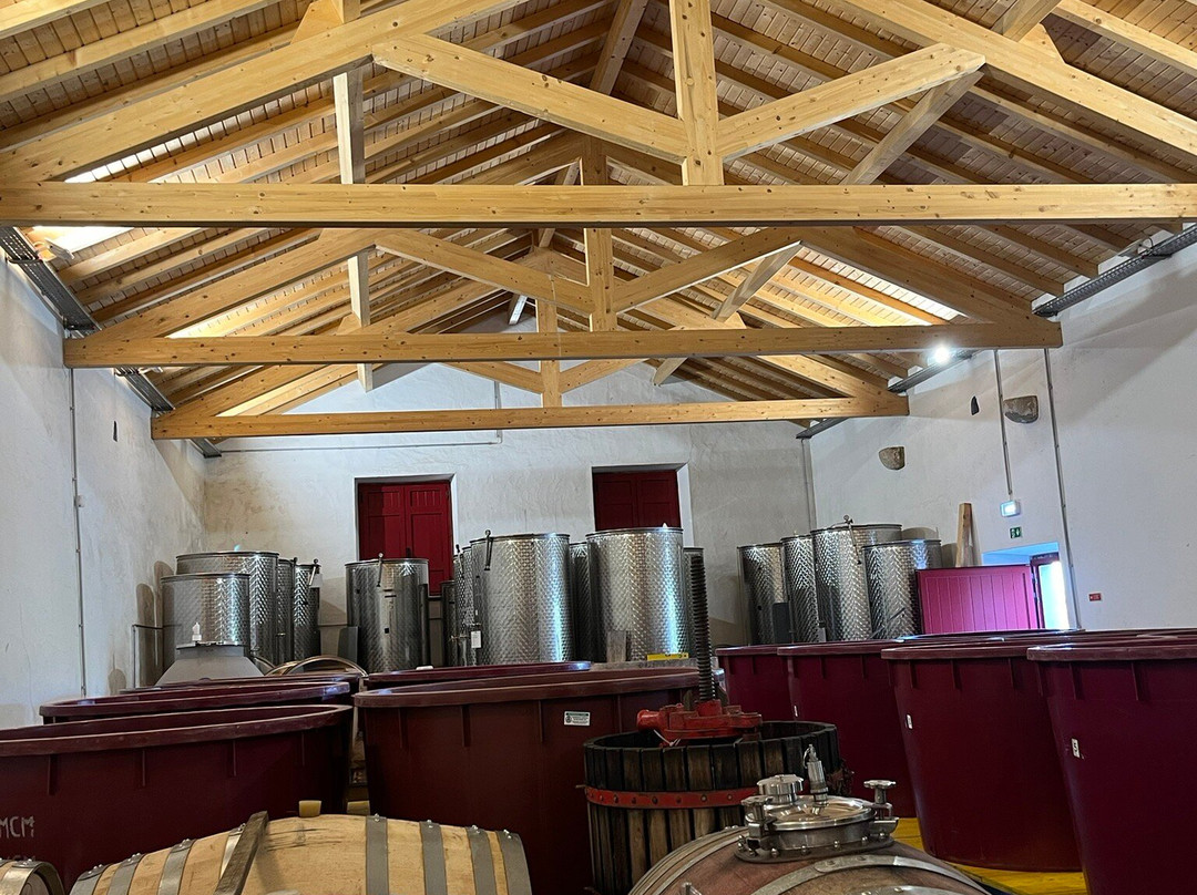 Vinhos Cortém景点图片