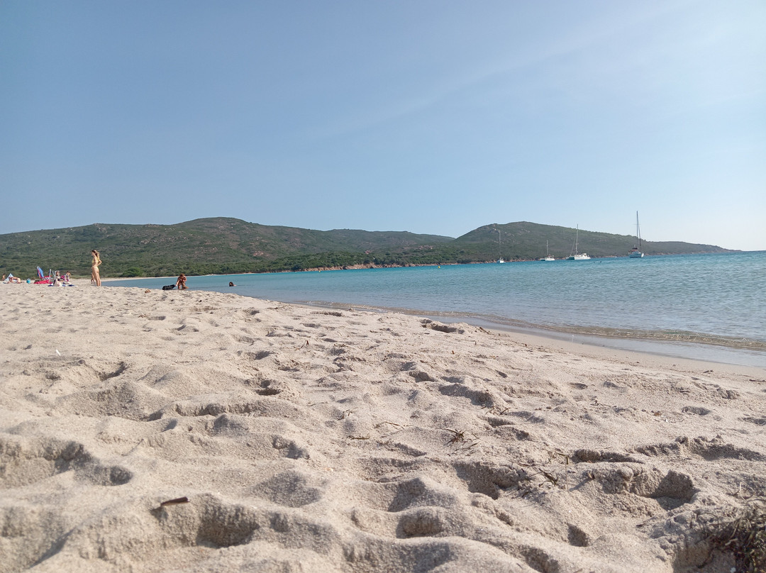 Plage de Balistra景点图片