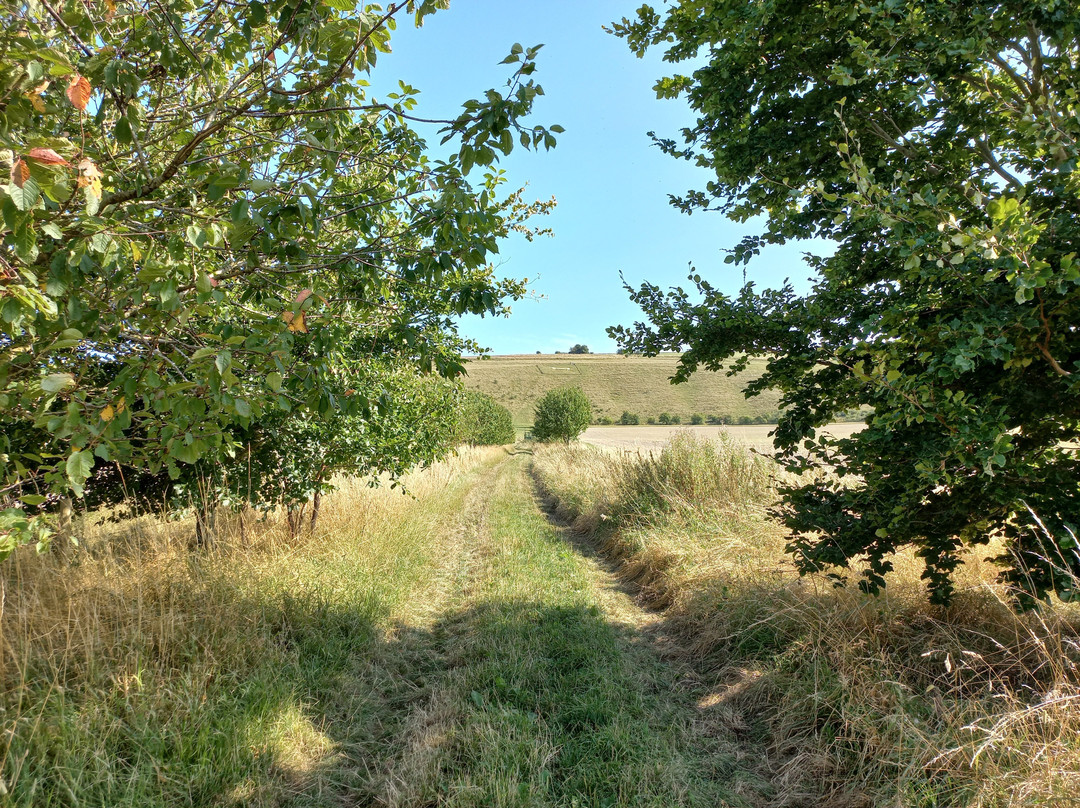 Pewsey White Horse景点图片