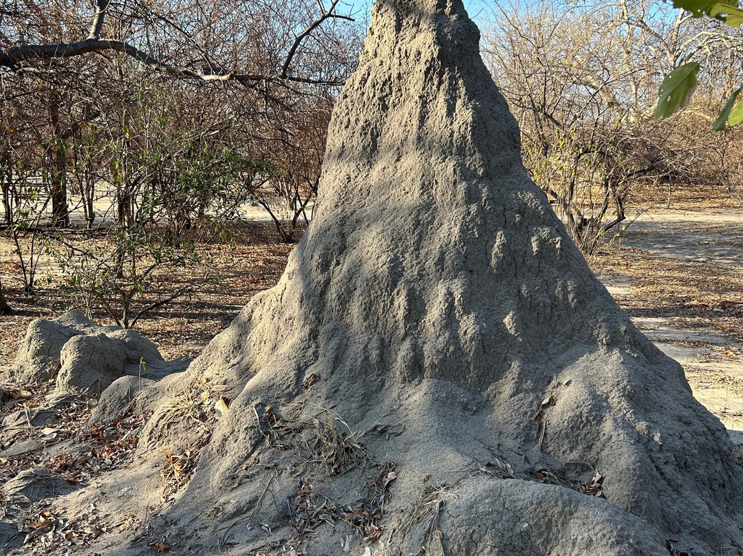Kuminda Farm景点图片