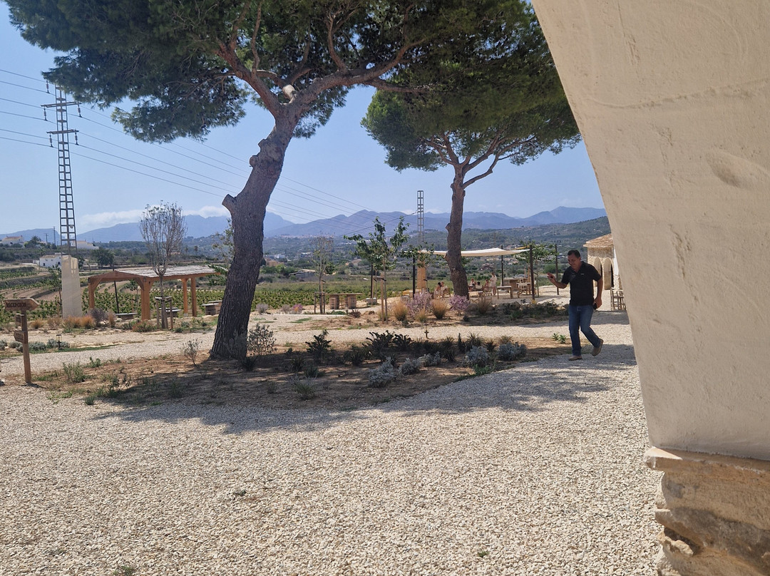 Bodega Montesanco Teulada景点图片