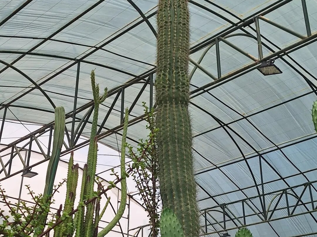 Flower Garden-Isfahan必去景点