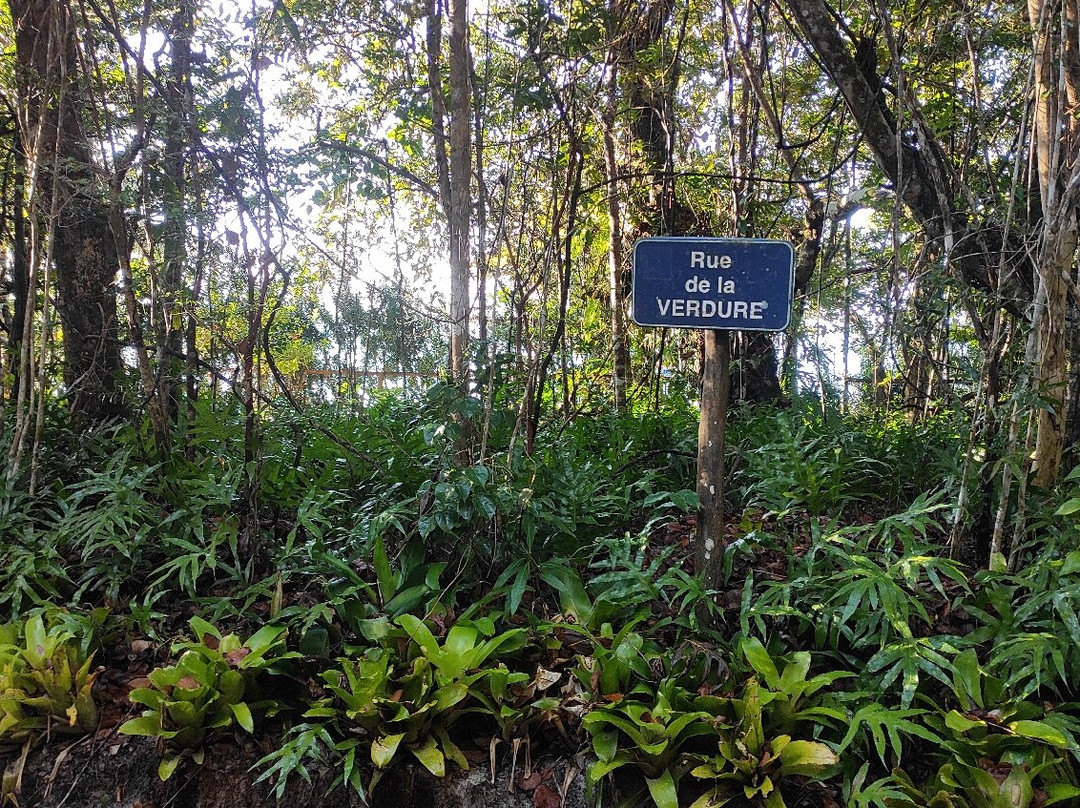 Les Acacias Bungalows Manambato主图