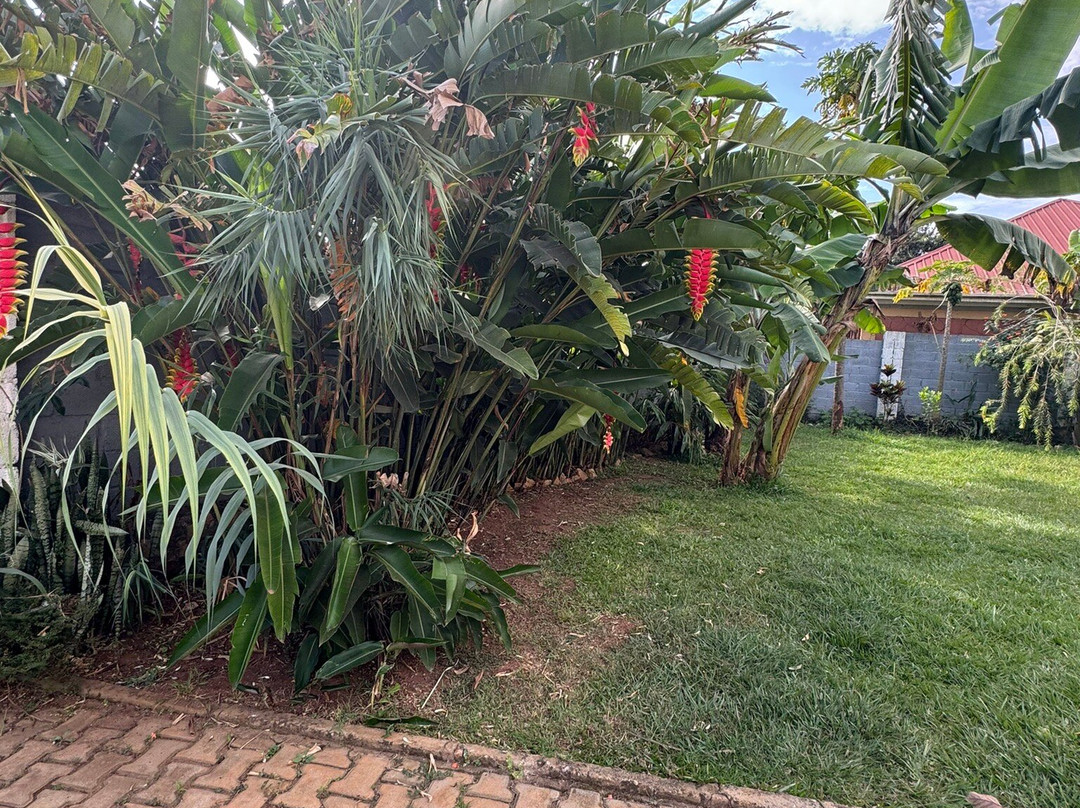 Alison & Dave's Guesthouse主图