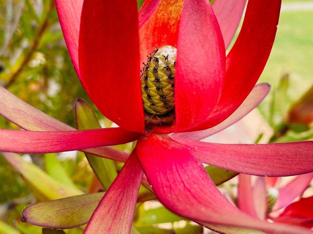 Saint Andrew's Uniting Church-Stratford必去景点