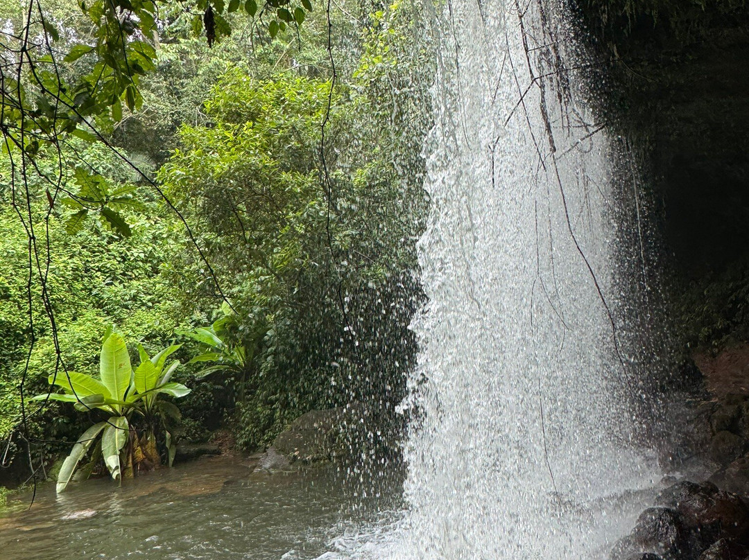 Rwenzori Mountains-Kasese必去景点