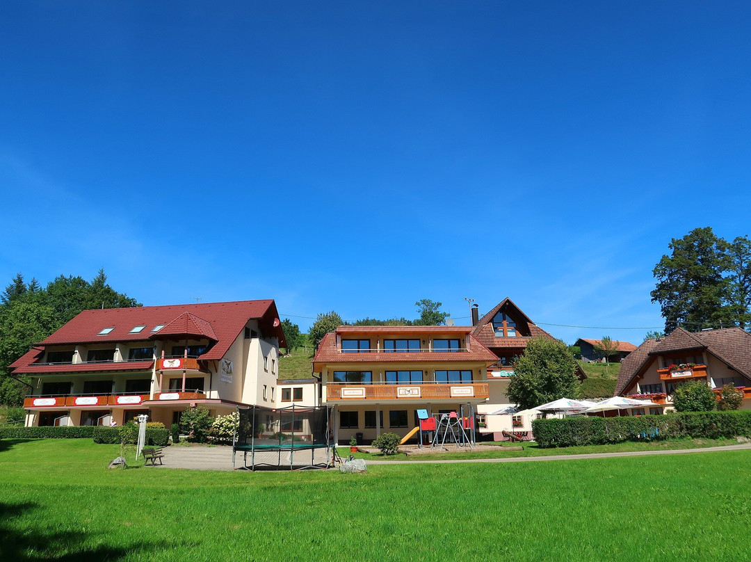 Landgasthof Adler Pelzmuhle主图