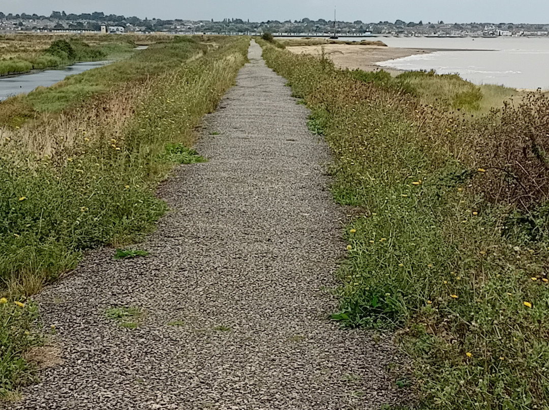 Cudmore Grove Country Park景点图片