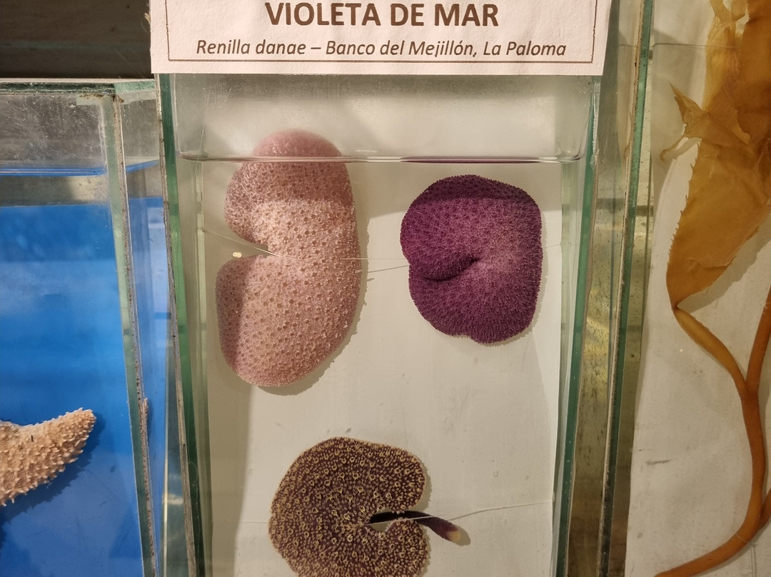 海洋博物馆-La Barra必去景点