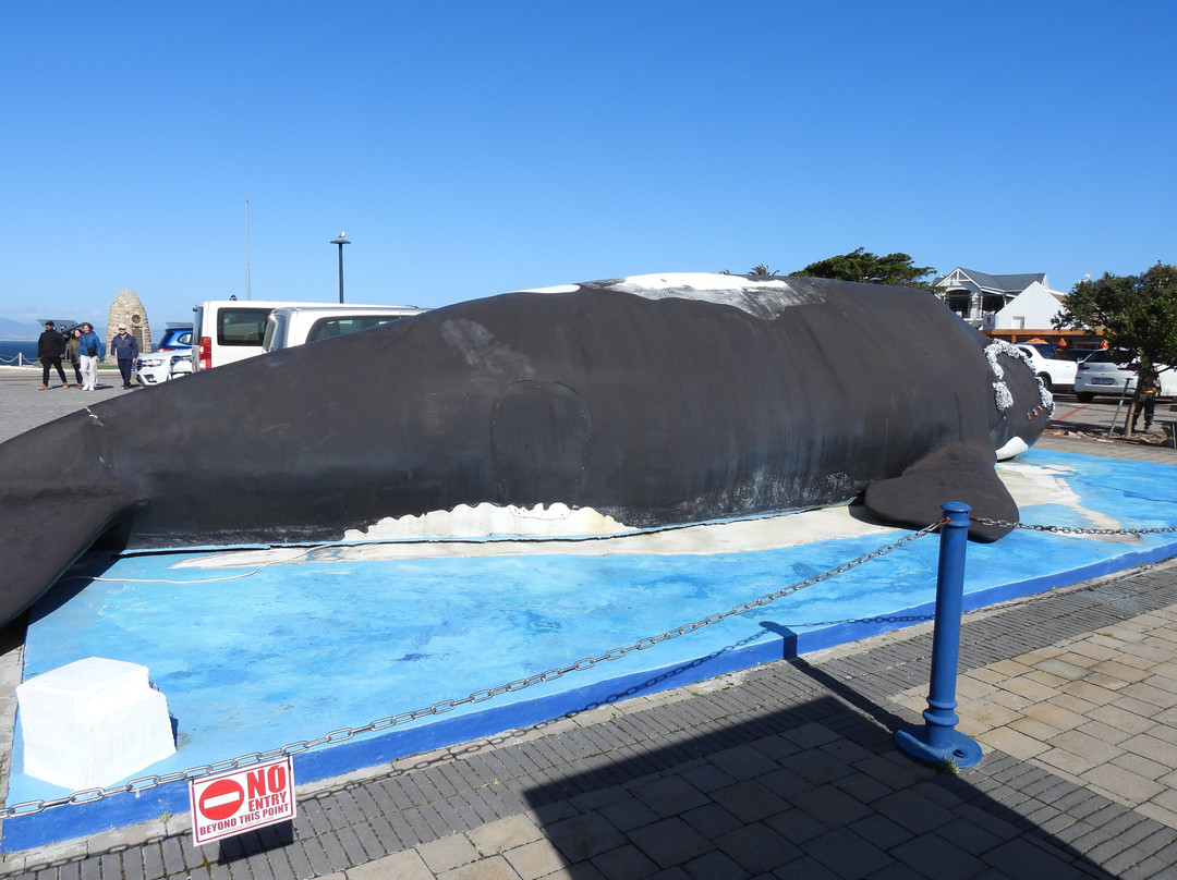 The Whale House Museum-赫曼努斯必去景点