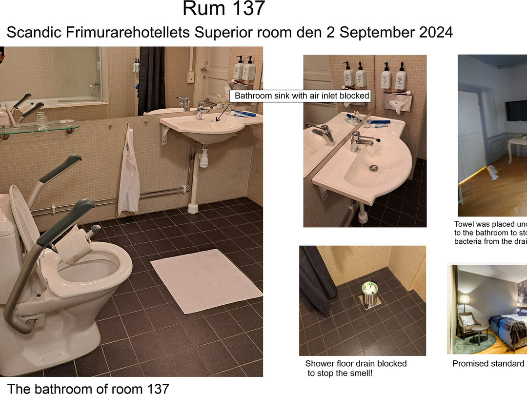 Scandic Frimurarehotellet主图