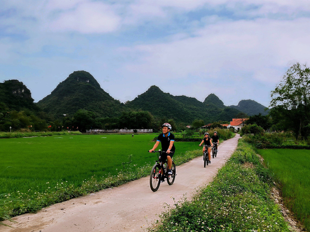 Amazing Ninh Binh景点图片