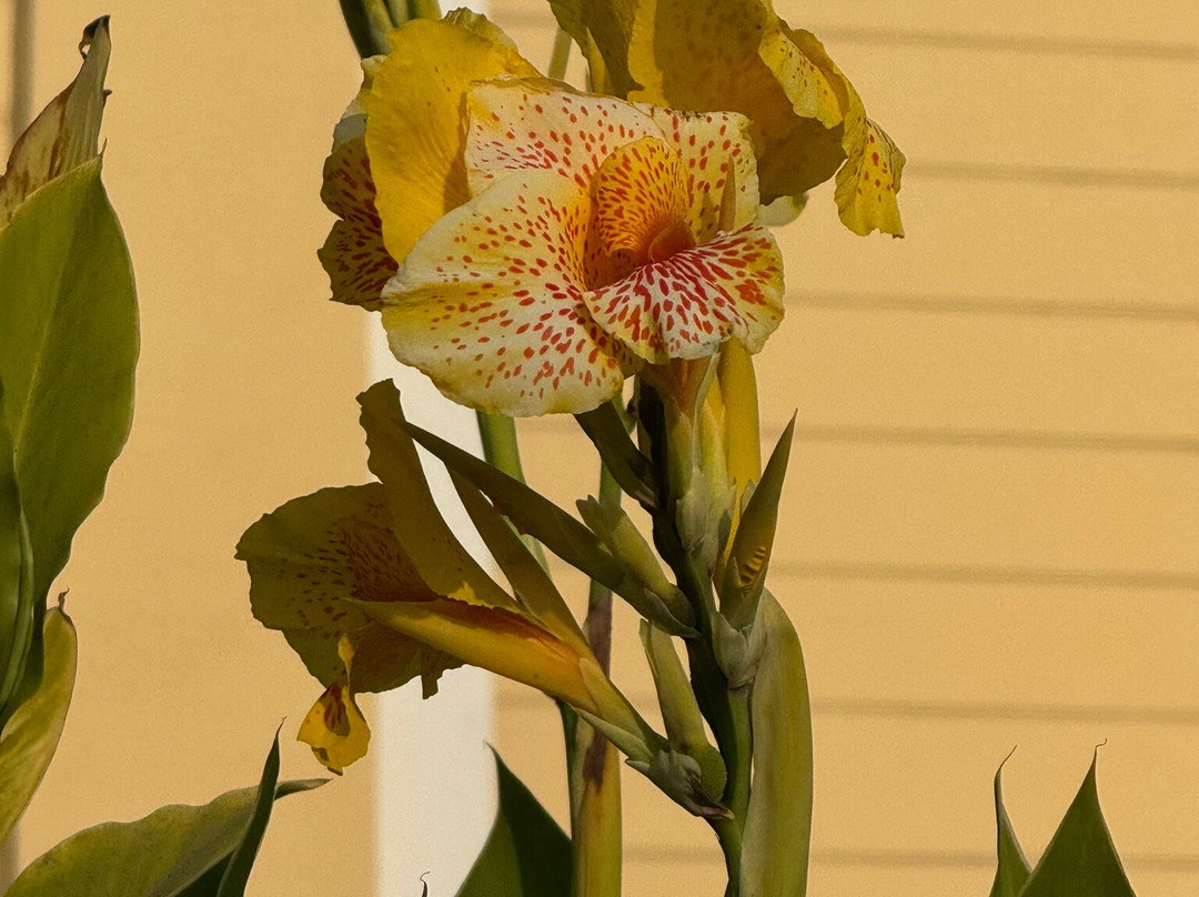 Parque Principal de Chiclayo-奇克拉约必去景点