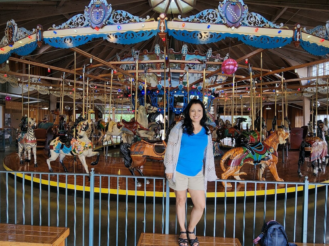Richland Carrousel Park景点图片