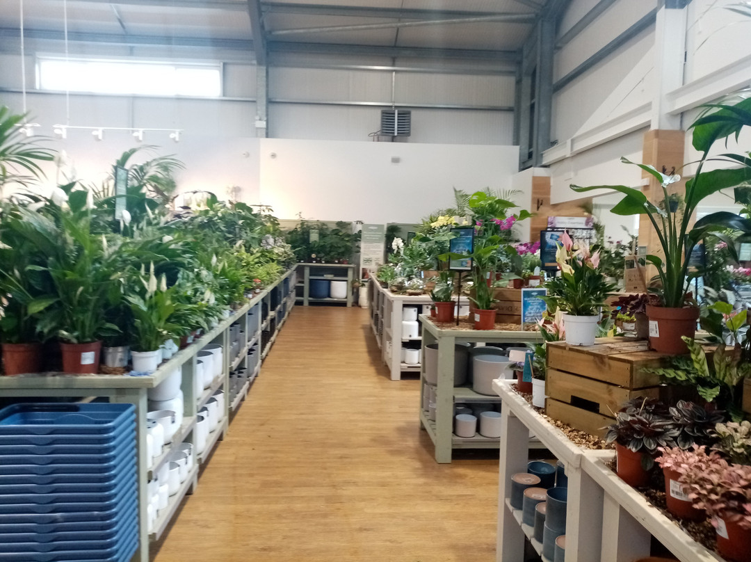 Blackdown Garden Centre,-惠灵顿必去景点
