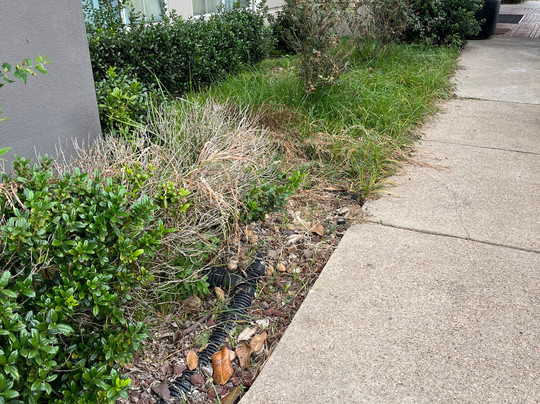 La Quinta Inn & Suites by Wyndham Houston Rosenberg主图