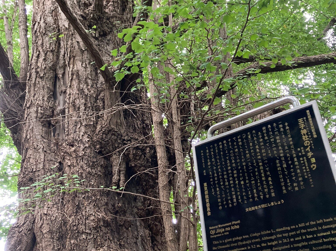 Oji Shrine-北区必去景点