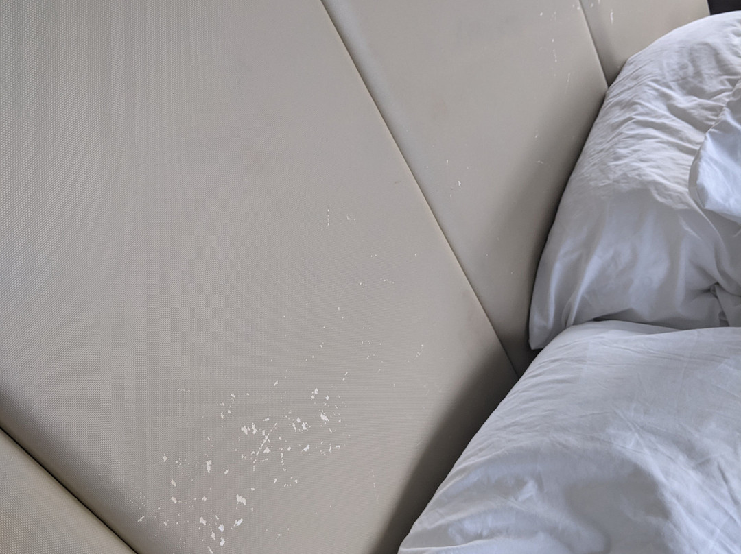 SpringHill Suites Atlanta Downtown主图