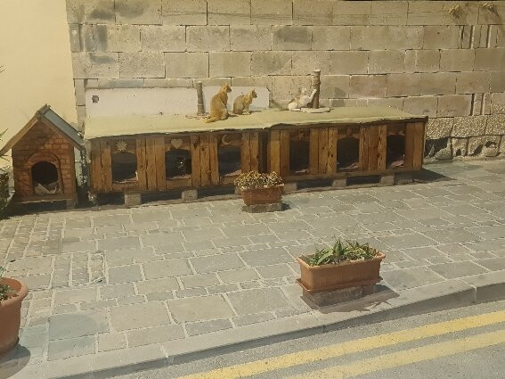 The Shipwright's Lodge主图