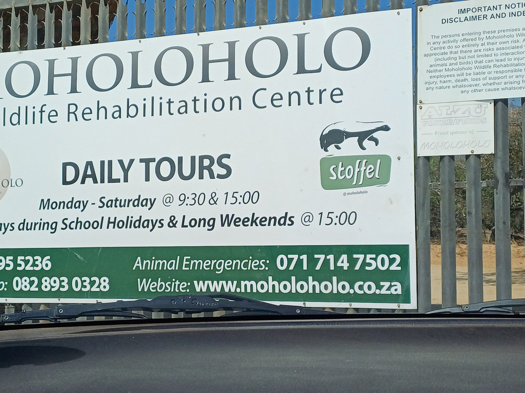 Moholoholo Wildlife Rehabilitation Centre景点图片