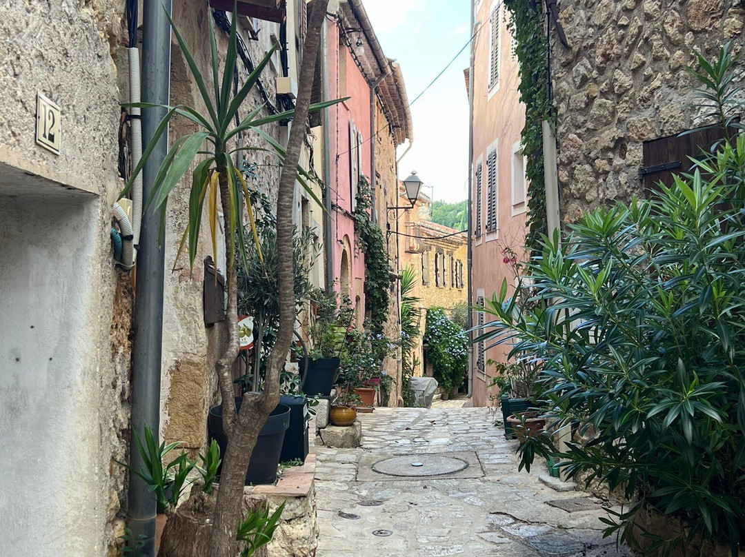 Callian Perched Village景点图片