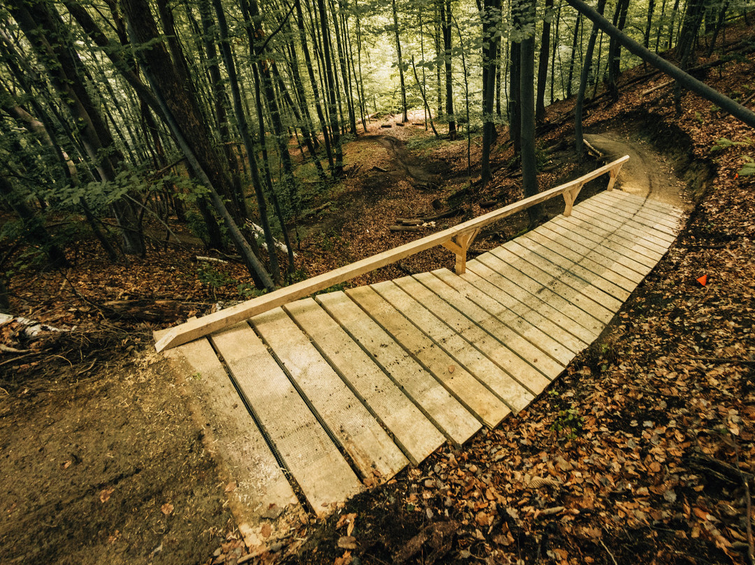 Bike Park Pohorje Maribor-马里博尔必去景点