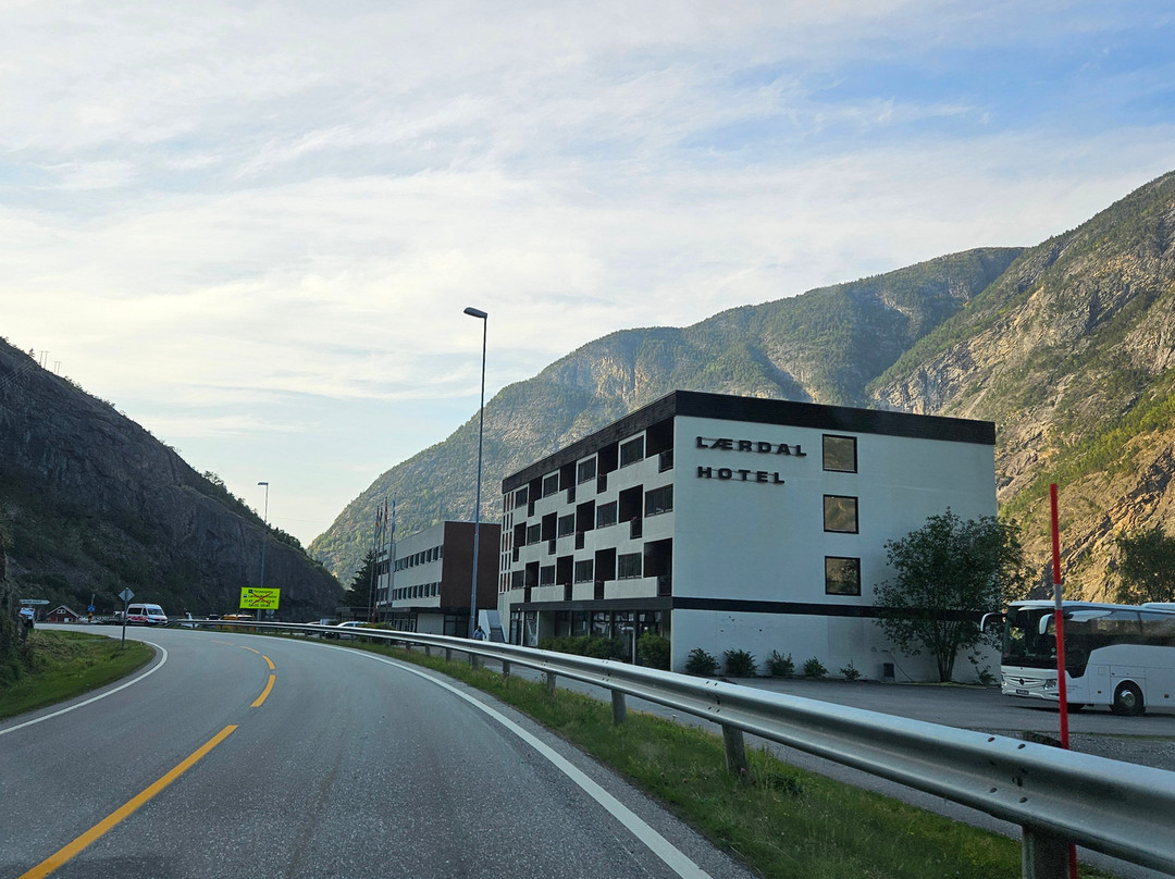 Laerdal Hotel主图