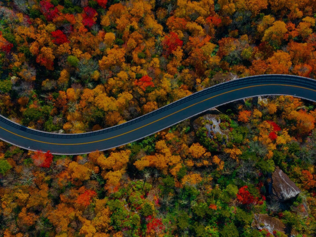 CanyonTravels@Atlanta