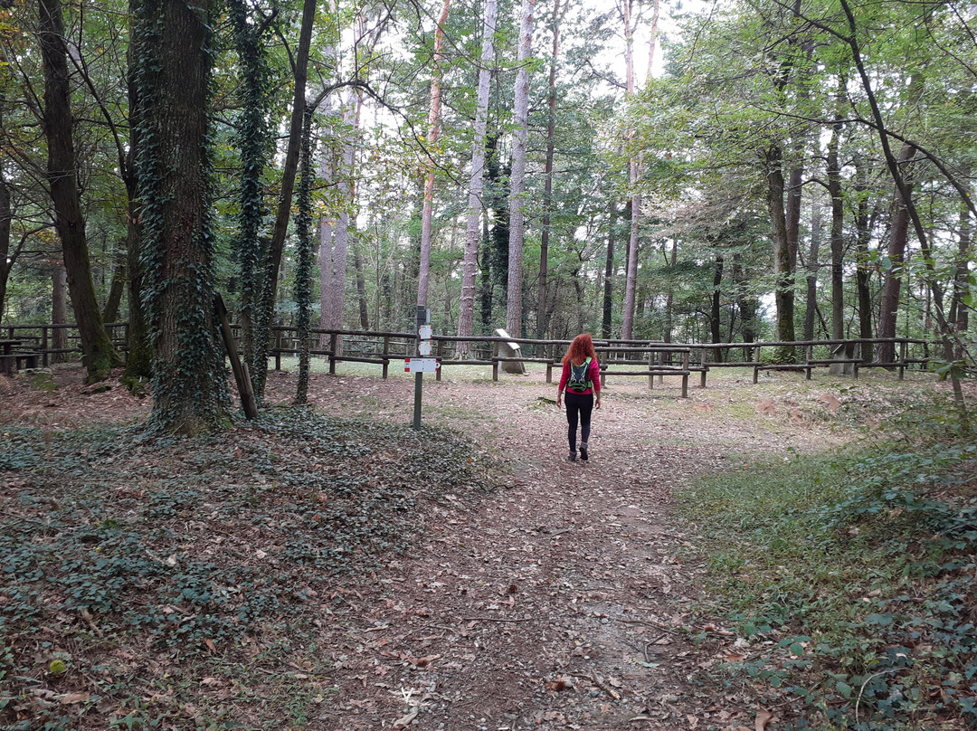 Area Archeologica Monsorino di Golasecca-Golasecca必去景点