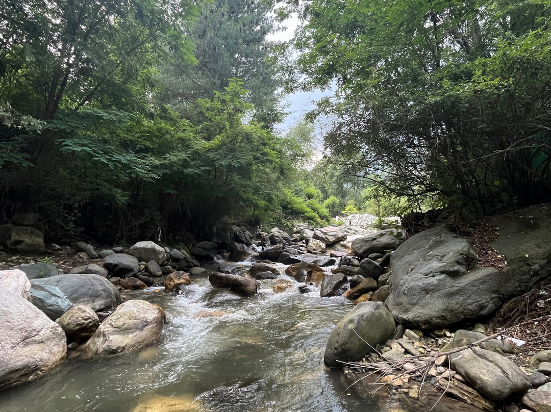 Whoopers Boutique Resort Jibhi